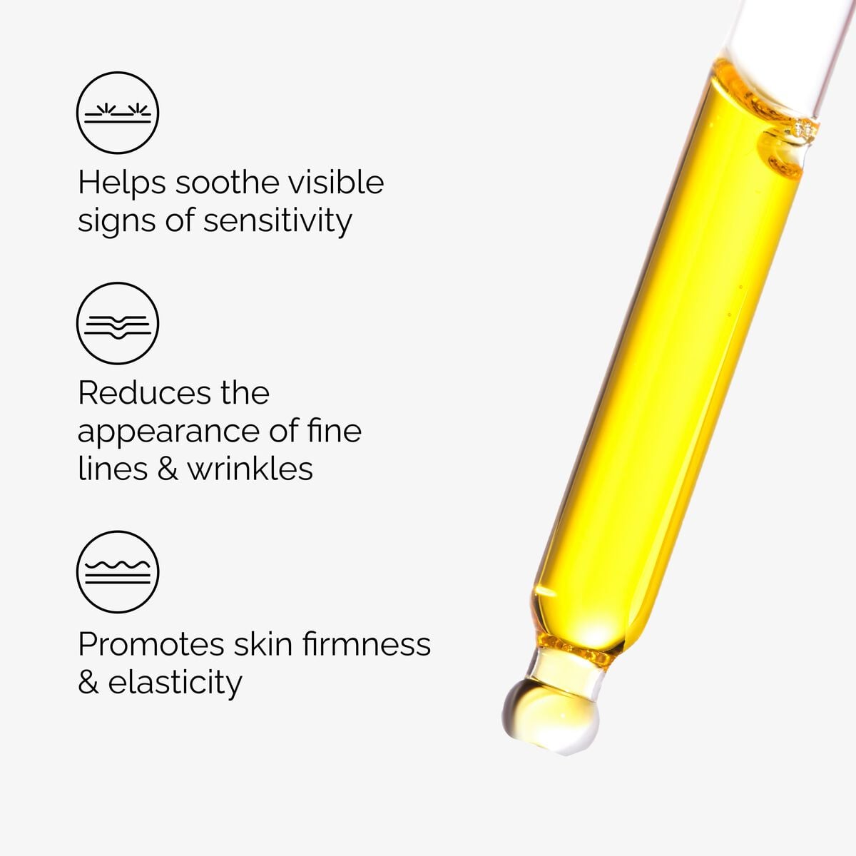 100% Fermented Rose Hip Seed Oil - Soft Balance