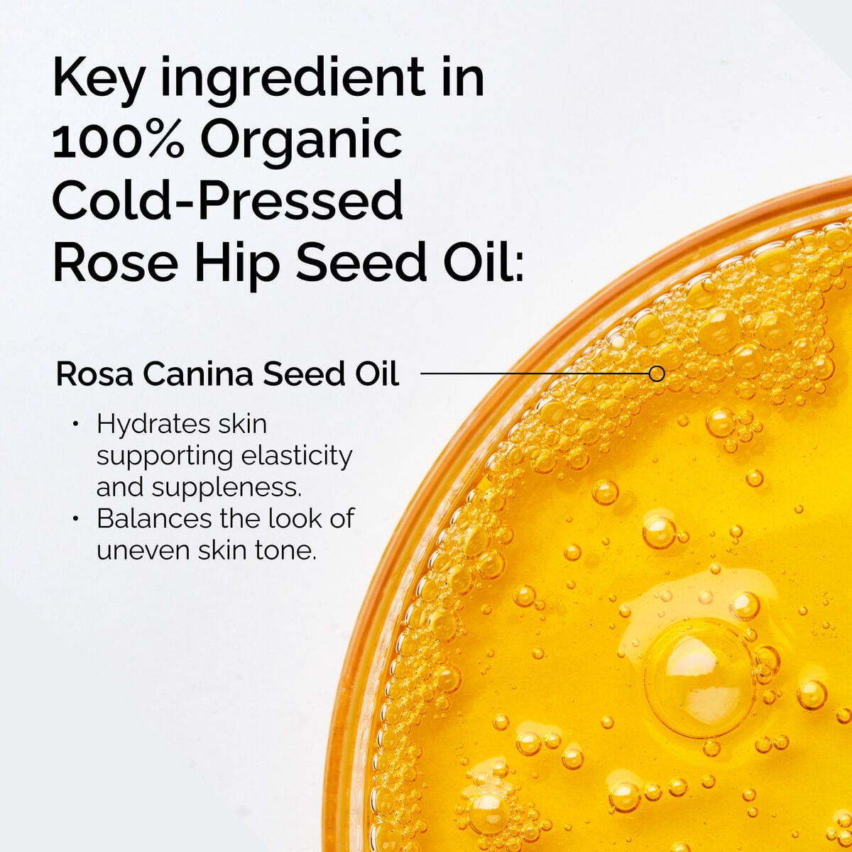100% Organic Cold-Pressed Rose Hip Seed Oil - Classic Notes