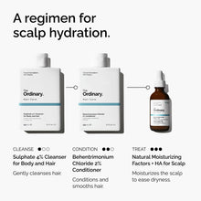 Natural Moisturizing Factors + HA for Scalp - Hair Care