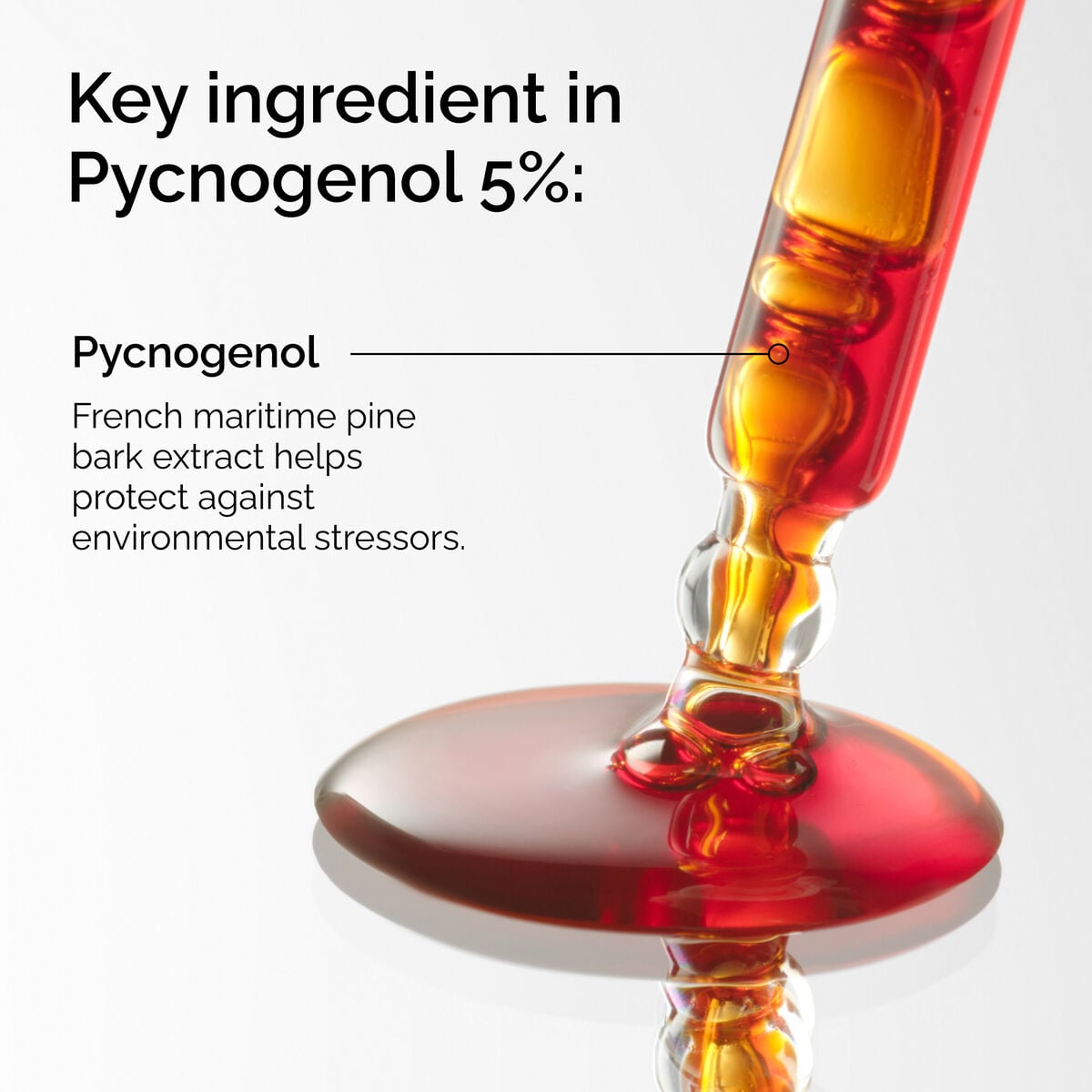 5% - Daily Clean