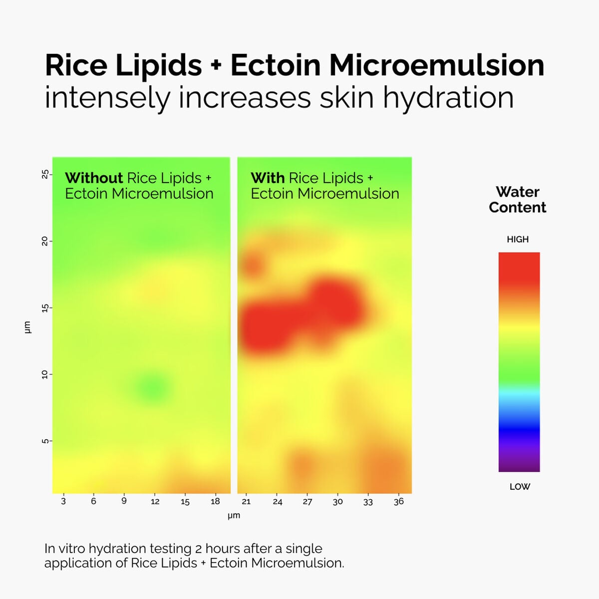 Rice Lipids + Ectoin Microemulsion - Gift Ready